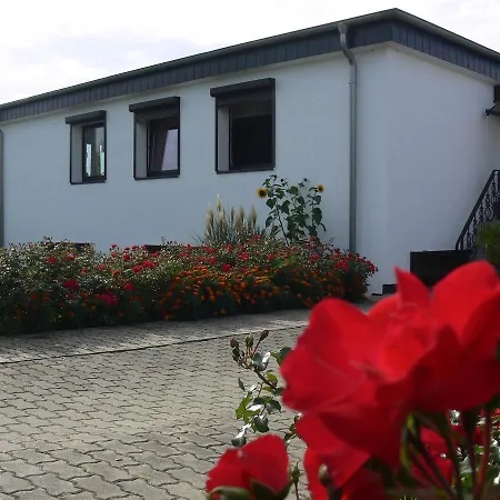 Apartamento Ferienwohnung Rerik Mit Eingezaeuntem Garten *