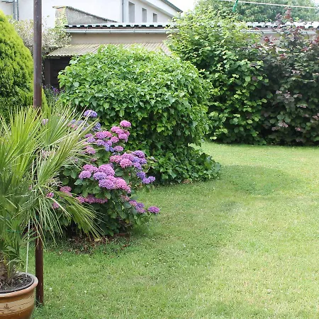 Ferienwohnung Rerik Mit Eingezaeuntem Garten * Rerik