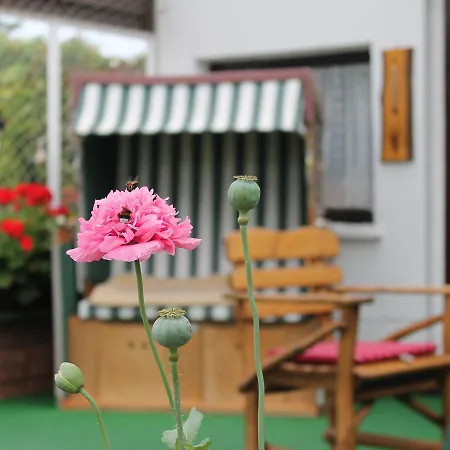 Appartement Ferienwohnung Rerik Mit Eingezaeuntem Garten Rerik