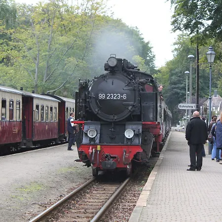 Ferienwohnung Rerik Mit Eingezaeuntem Garten Rerik