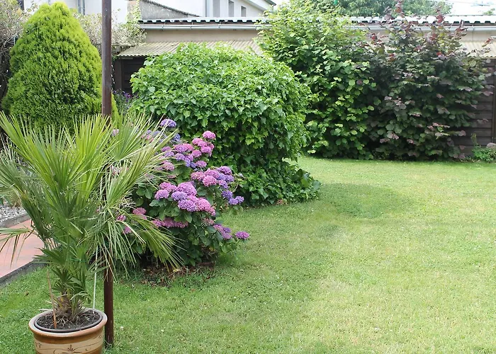 Mit Eingezaeuntem Garten * Rerik