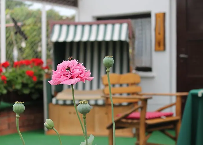 Appartement Mit Eingezaeuntem Garten Rerik